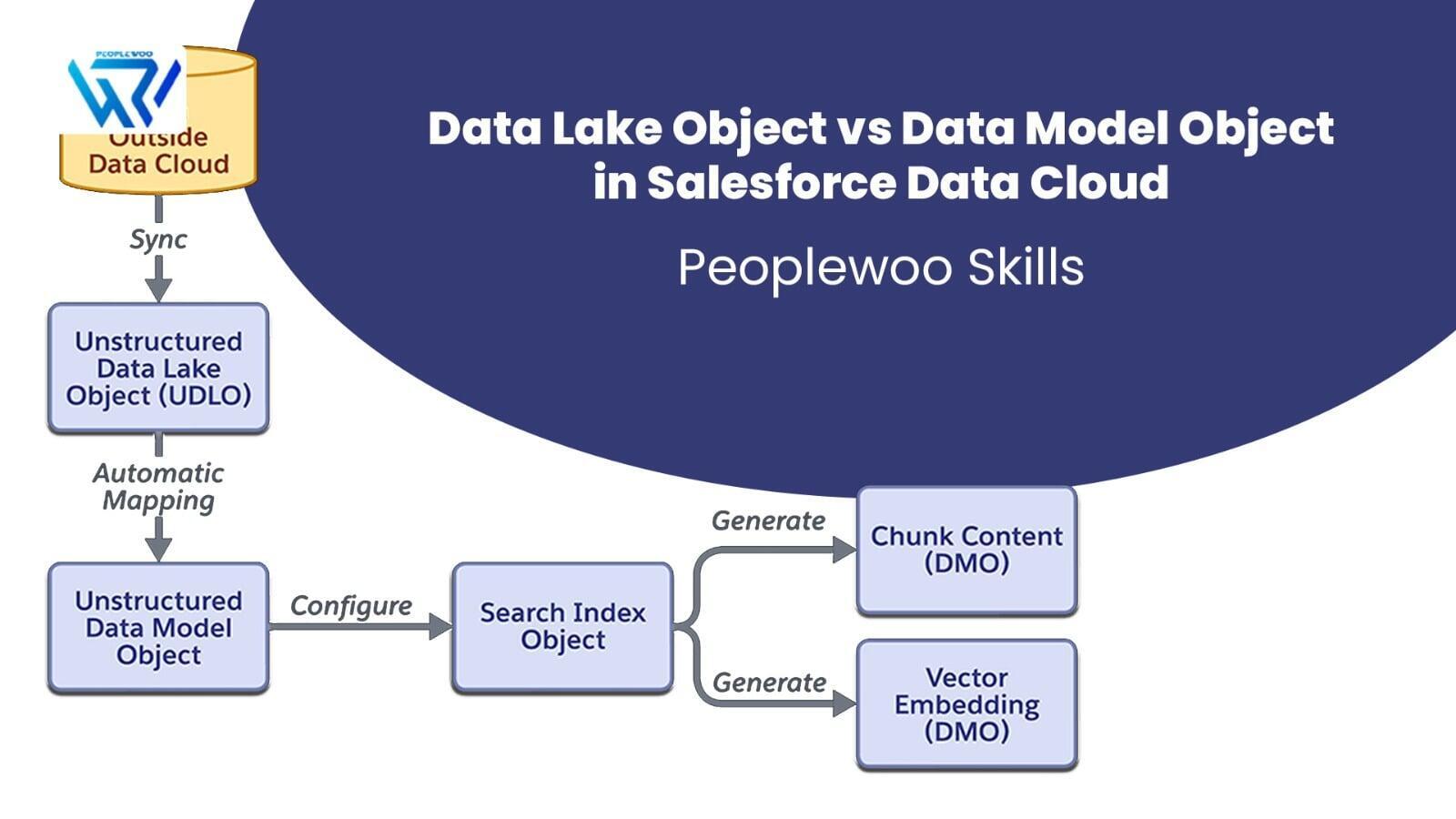Data Lake Object vs Data Model Object in Salesforce Data Cloud | Peoplewoo Skills